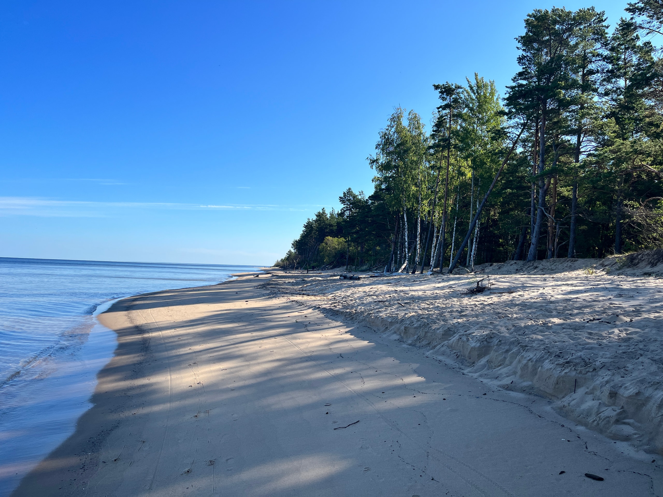 Untouched Latvian Beaches